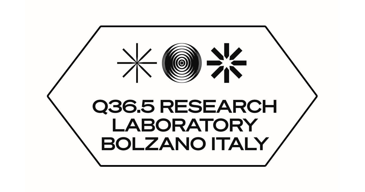 Q36.5 - Brand System — Image 12
