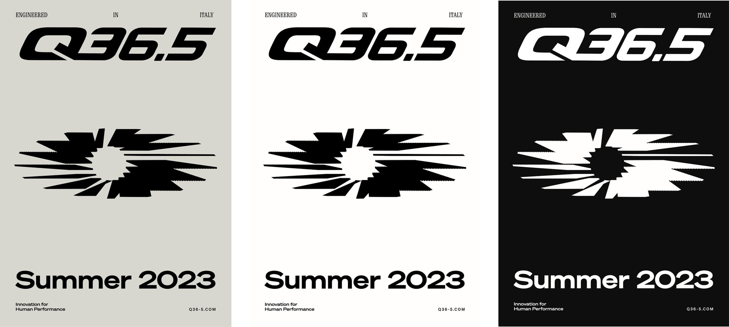 Q36.5 - Brand System — Image 2