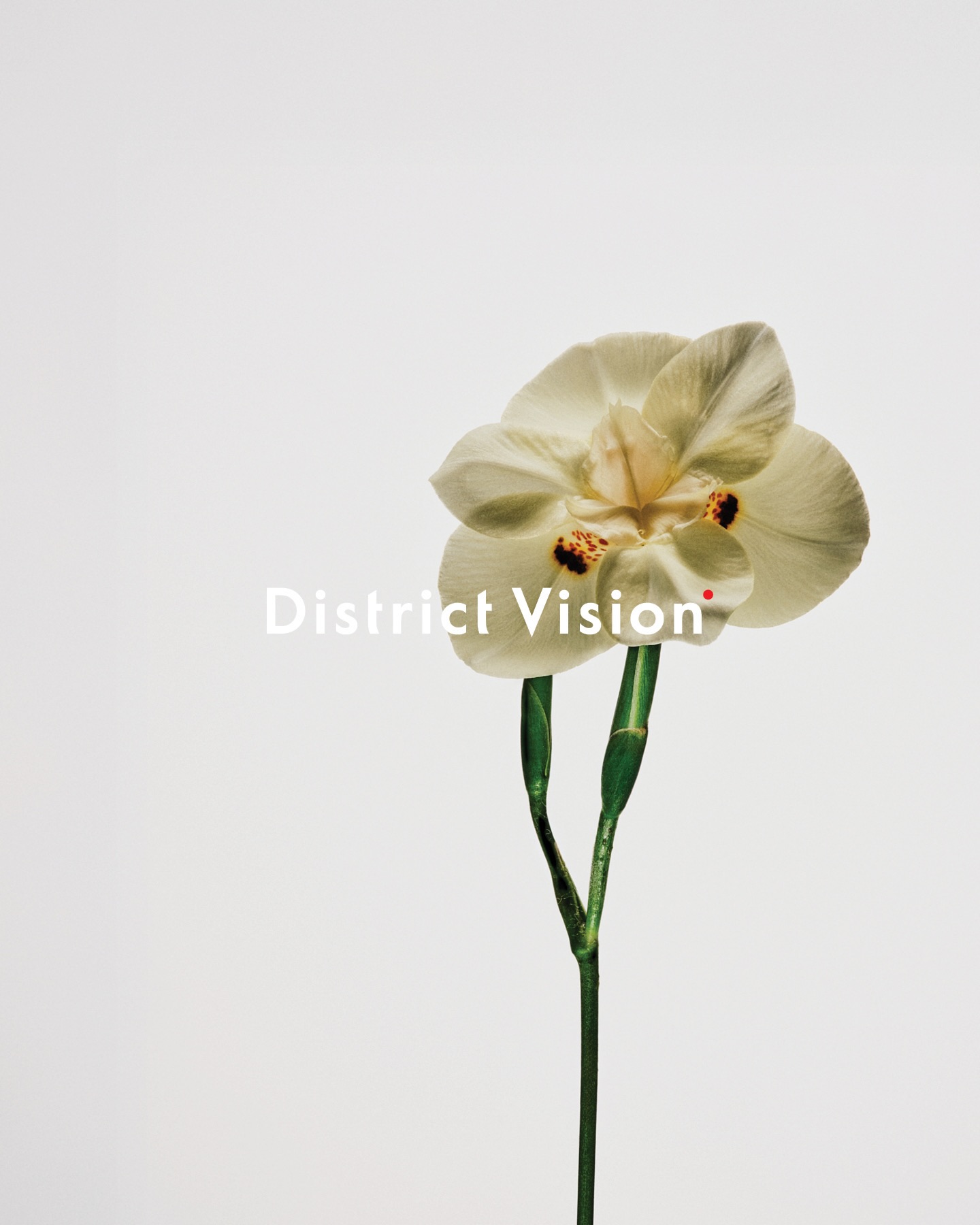 District Vision 3